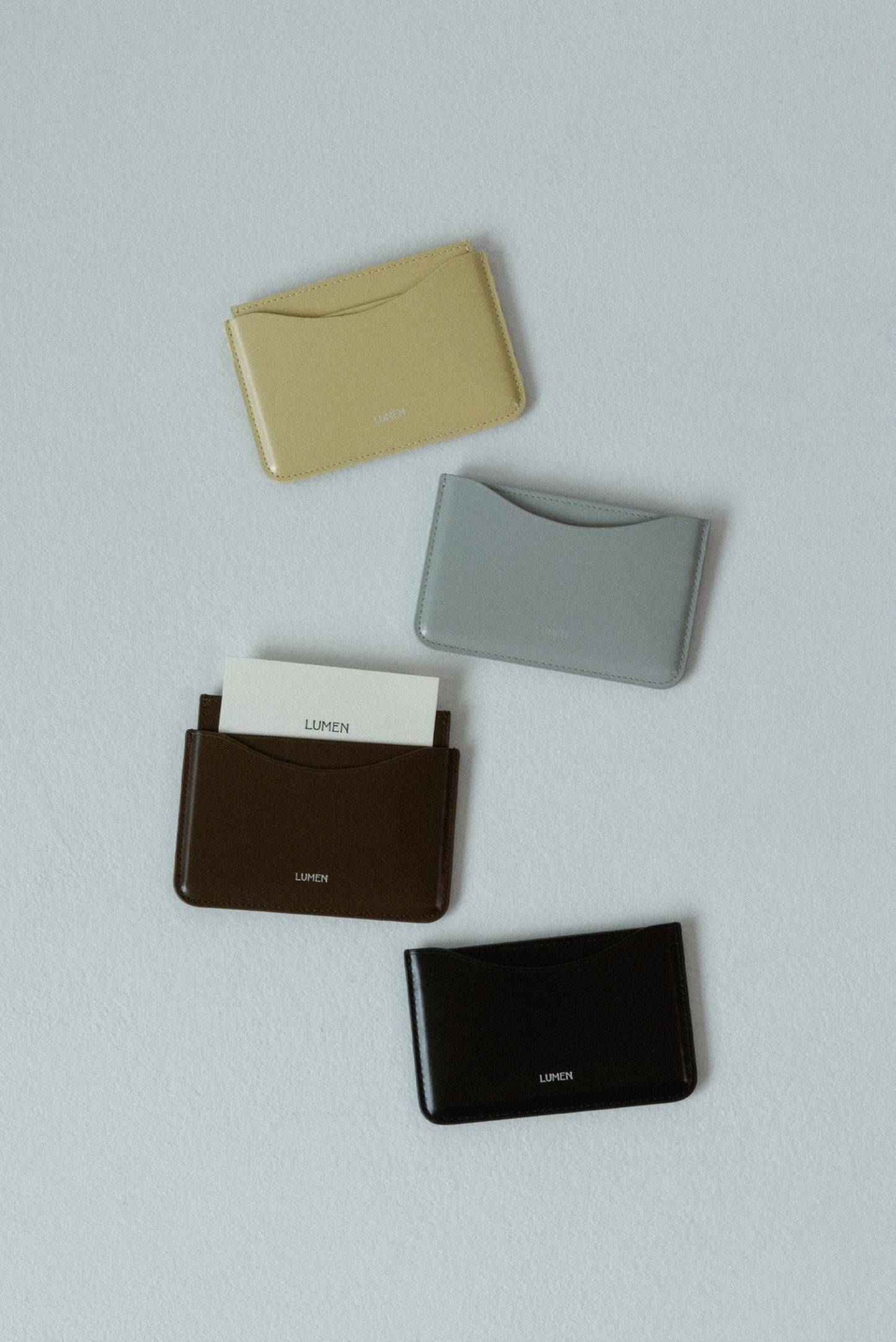 HOLDER CARD CASE (MATT BROWN)