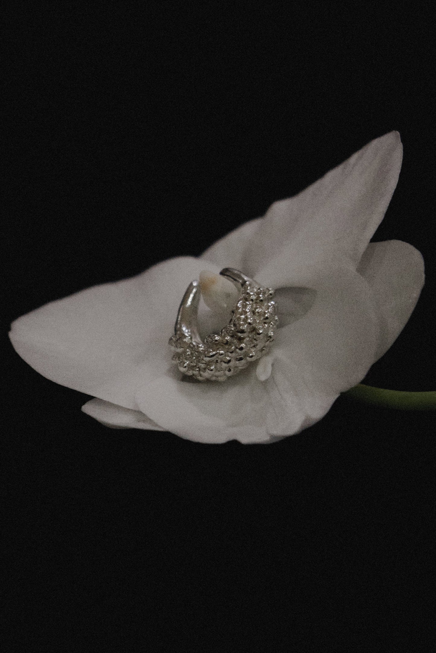[LUMEN x YEODONG YUN] EAR CUFF