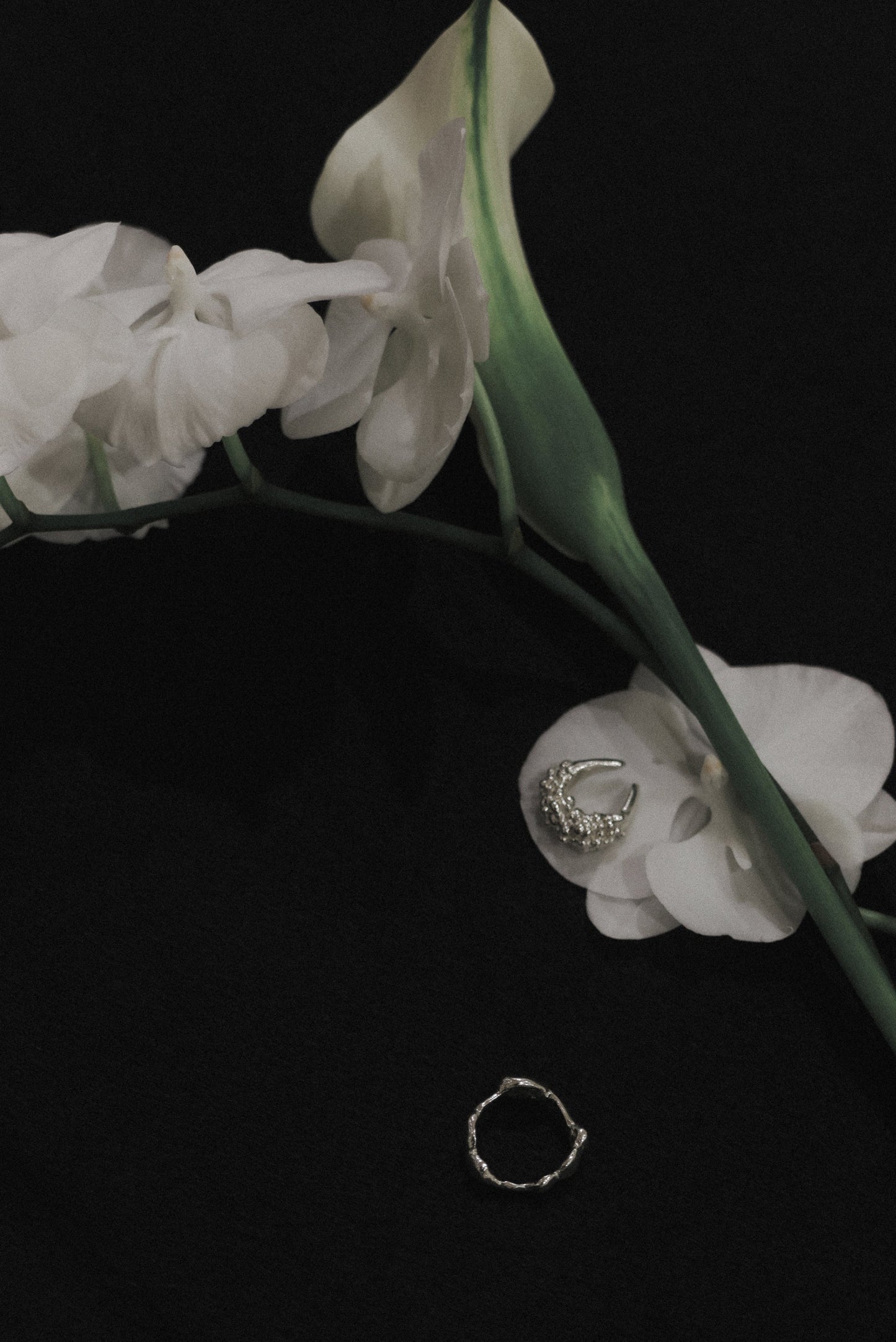 [LUMEN x YEODONG YUN] EAR CUFF